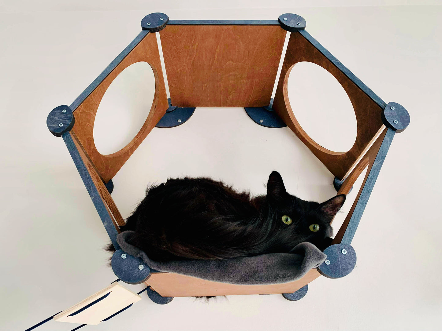 Modern Cat Wall Cubby