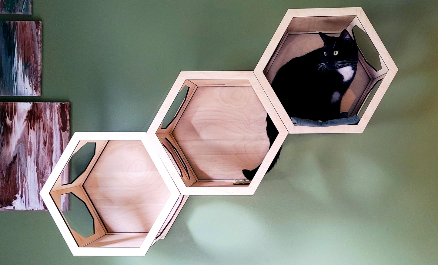 Cat Wall Shelf